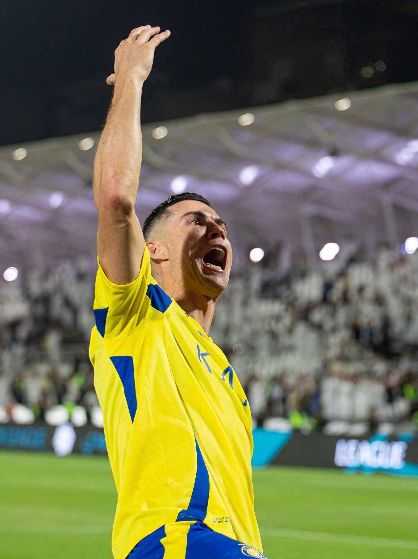 而最终的冠 而最终的冠